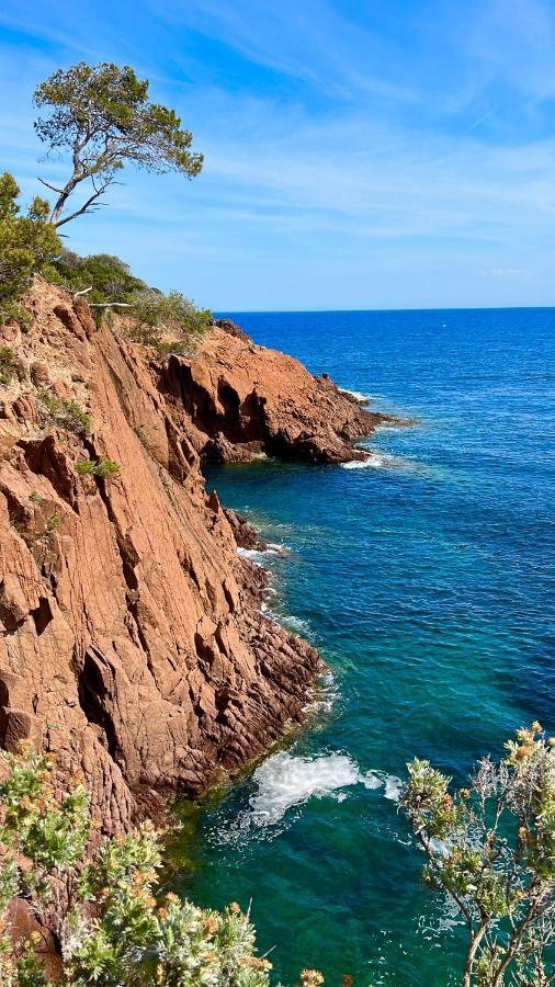 Les Cactus Frejus Plage Exteriör bild