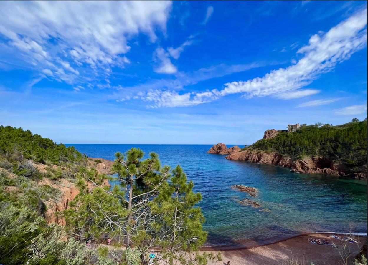 Les Cactus Frejus Plage Exteriör bild