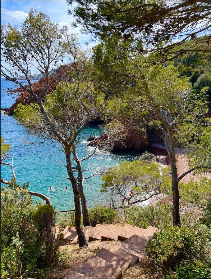 Les Cactus Frejus Plage Exteriör bild