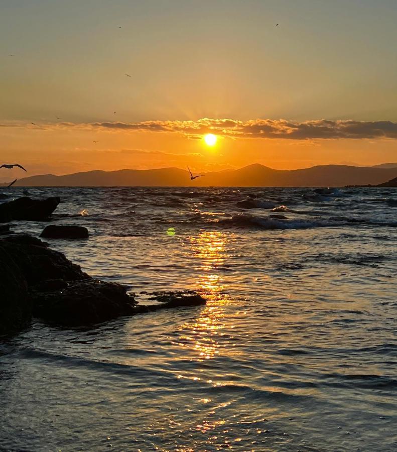 Les Cactus Frejus Plage Exteriör bild