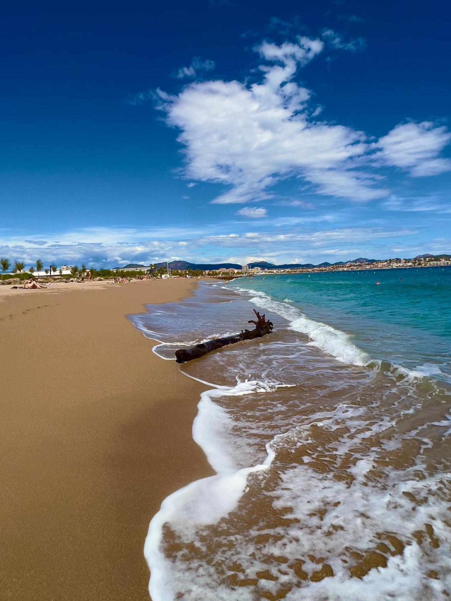 Les Cactus Frejus Plage Exteriör bild