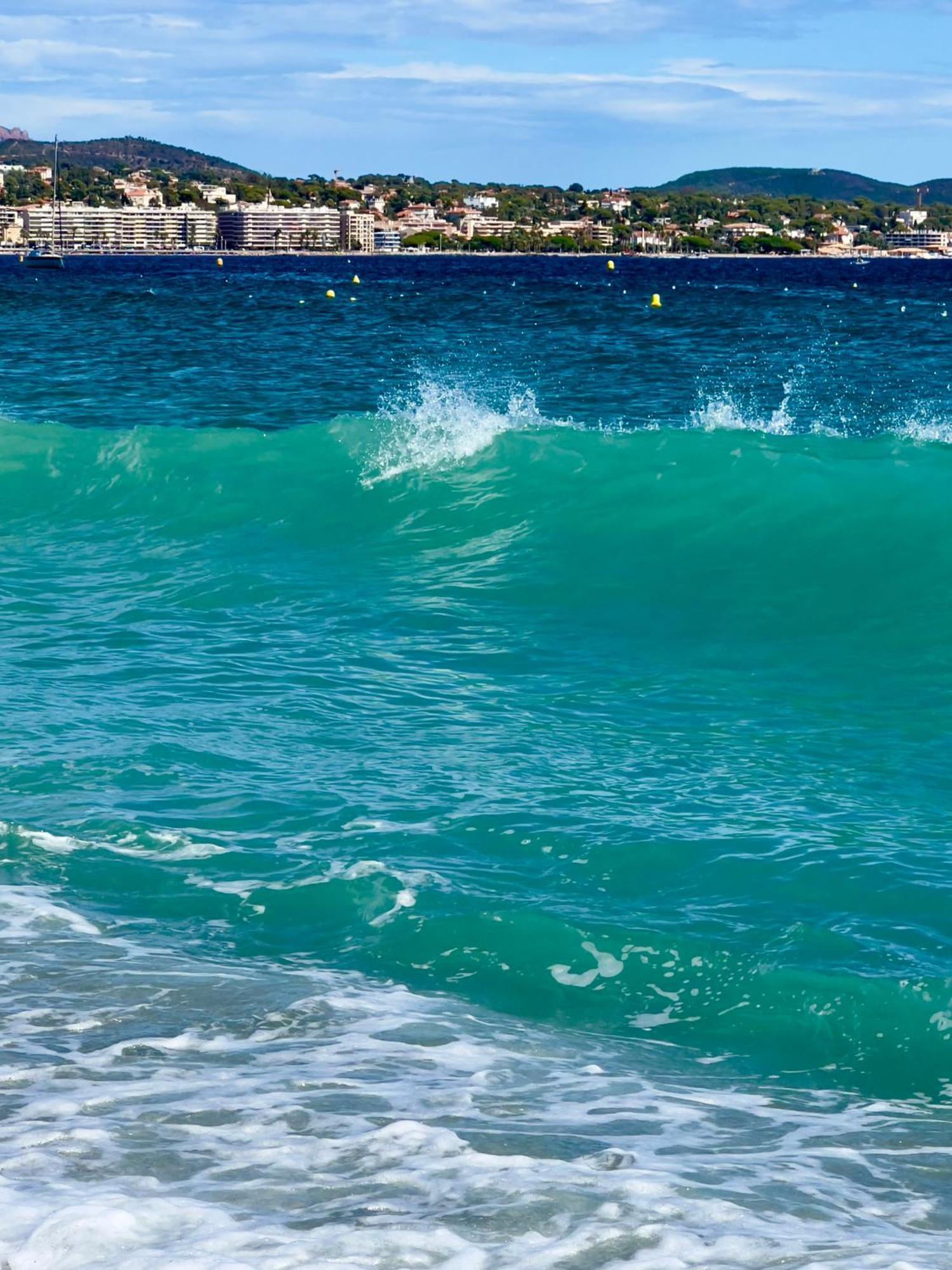 Les Cactus Frejus Plage Exteriör bild